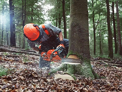 1760178307176474.png 图片35.png